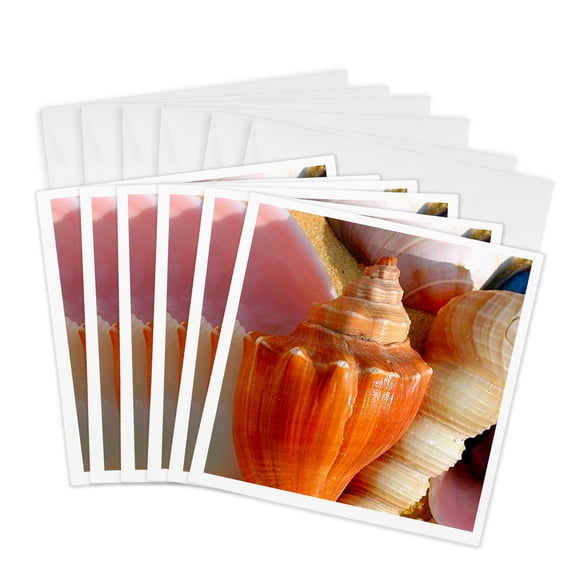 3drose, Sea Shells, 6 Greeting Cards with Envelopes