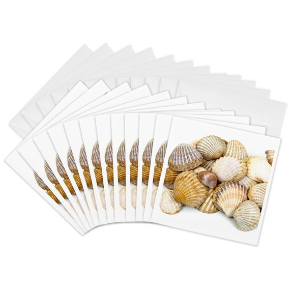 3drose, Sea Shells by the Sea Shore - Summer - Beach Theme, 12 Greeting Cards with Envelopes