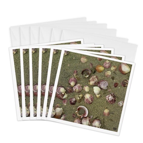 3drose, Sea Shells on the Sand, 6 Greeting Cards with Envelopes