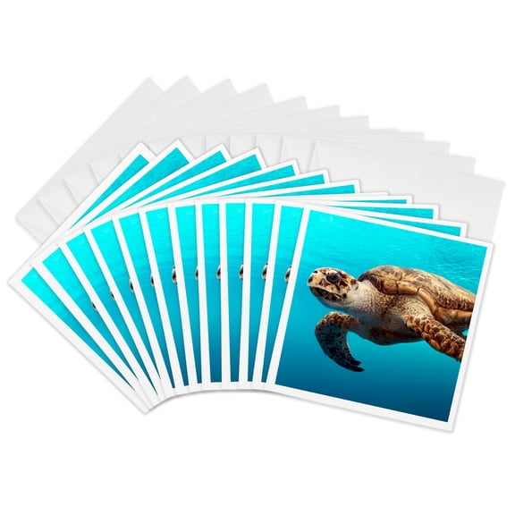 3drose, Sea Turtle, 12 Greeting Cards with Envelopes