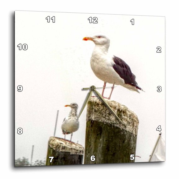 3drose, Seagulls on Fishing Pier Posts, 15x15 Wall Clock