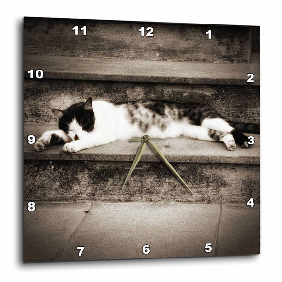 3drose, Sepia Toned Lazy Cat Laying on Concrete Steps., 15x15 Wall Clock