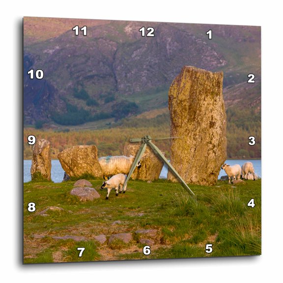 3drose, Sheep, Uragh Stone Circle, Glengarriff, Ireland - Eu15 Tno0087 - Tom Norring, 15x15 Wall Clock