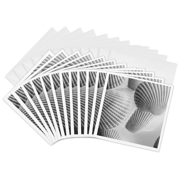 3drose, Shells with Light, 12 Greeting Cards with Envelopes