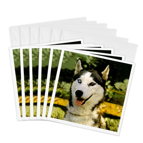 3drose, Siberian Husky, 6 Greeting Cards with Envelopes