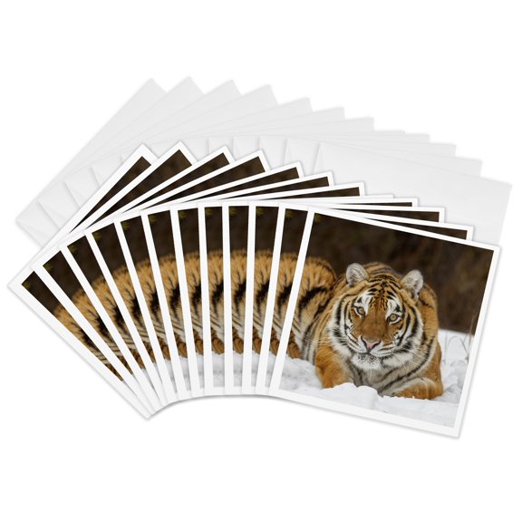 3drose, Siberian Tiger in Winter ., 12 Greeting Cards with Envelopes
