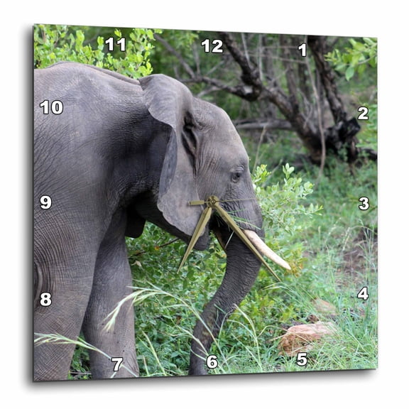 3drose, Side View of a Gorgeous Elephant in the Forest Wildlife Photography, 10x10 Wall Clock