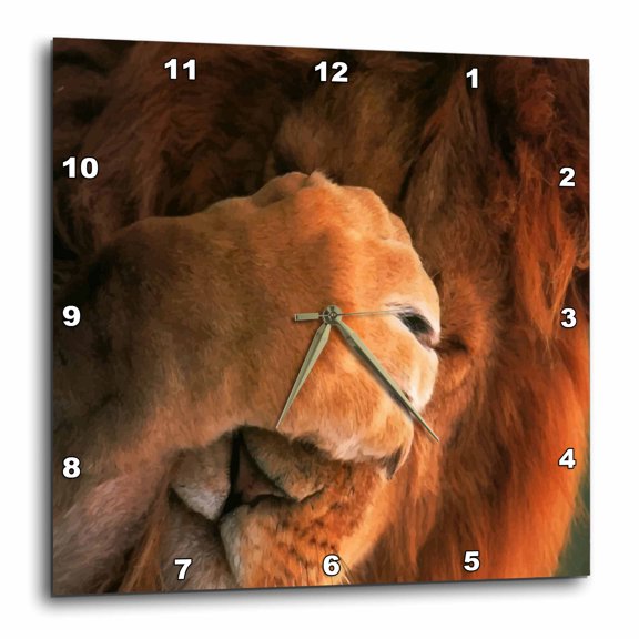 3drose, Silly Me, 10x10 Wall Clock