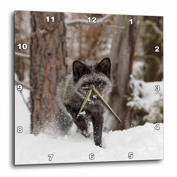 3drose, Silver Fox Running Through the Snow, Montana, 13x13 Wall Clock