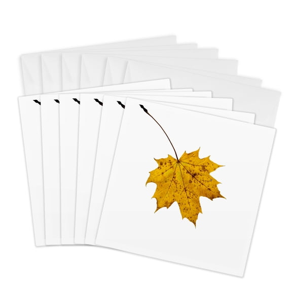 3drose, Single Yellow Maple Tree, White Background, 6 Greeting Cards with Envelopes