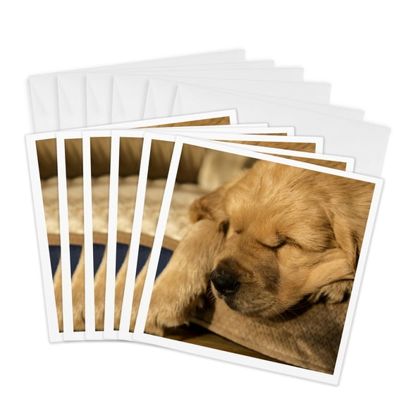 3drose, Sleeping Eight Week Old Golden Retriever Puppy., 6 Greeting Cards with Envelopes