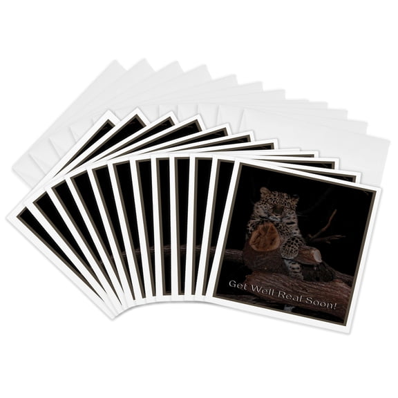 3drose, Sleeping Leopard Get Well Real Soon, 12 Greeting Cards with Envelopes