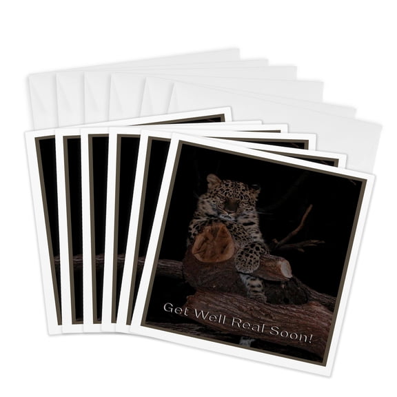 3drose, Sleeping Leopard Get Well Real Soon, 6 Greeting Cards with Envelopes