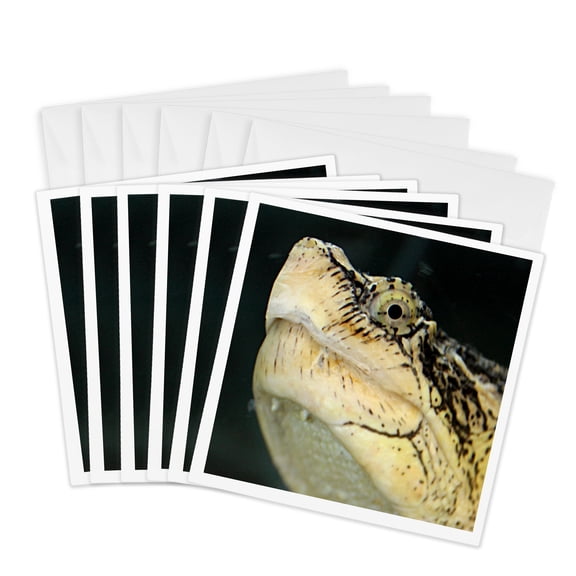 3drose, Snapping Turtle, 6 Greeting Cards with Envelopes