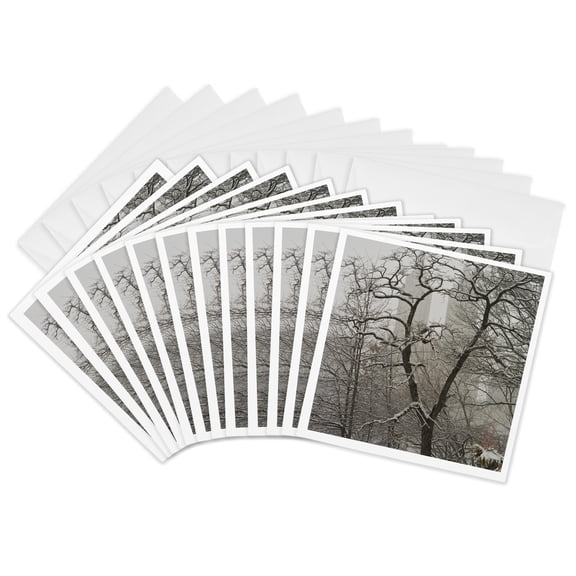 3drose, Snow Blizzard in Central Park Manhattan New York City, 12 Greeting Cards with Envelopes