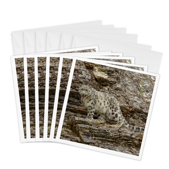 3drose, Snow Leopard, Threatened Species, Native to Central and South Asia, 6 Greeting Cards with Envelopes