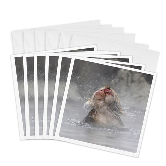 3drose, Snow Monkeys Wintering in Nagano, Japan., 6 Greeting Cards with Envelopes