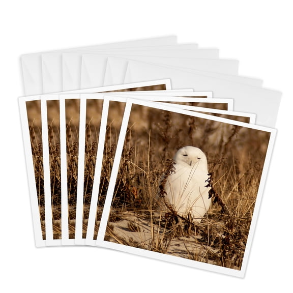 3drose, Snowy Owl, Eyes Closed, 6 Greeting Cards with Envelopes