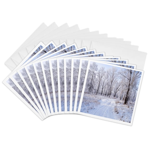 3drose, Snowy Winter Road, 12 Greeting Cards with Envelopes
