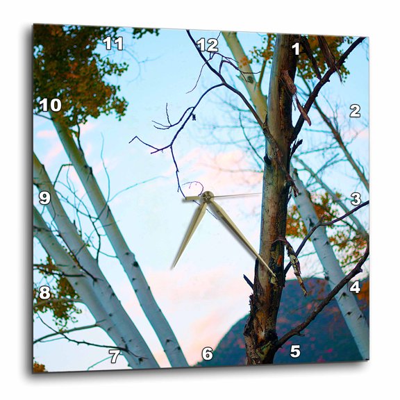 3drose, Some Aspen Trees Shot at an Angle, 10x10 Wall Clock