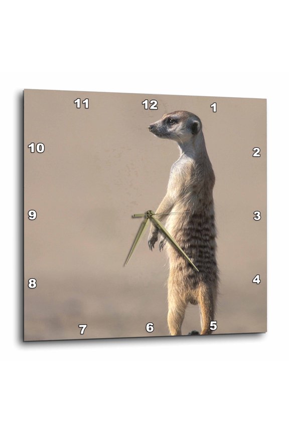 , South Africa, Kgalagadi, Meerkat, Mongoose-af42 Pso0111 - Paul Souders, 15x15 Wall Clock