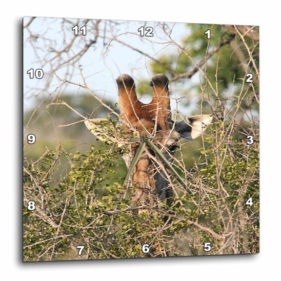 3drose, South African Giraffe Head Face in the Trees, 15x15 Wall Clock
