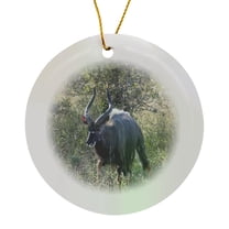 3drose, South African Kudu in the Grass, Circle Porcelain Ornament