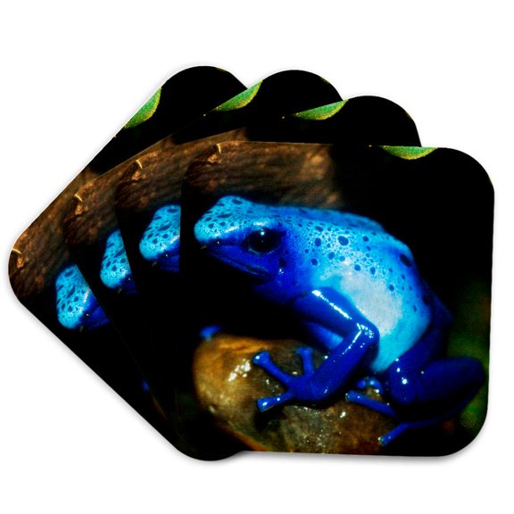 3drose, South America, Surinam. Blue Poison Arrow Frog on Rainforest Floor., Set of 4 Coasters - Soft