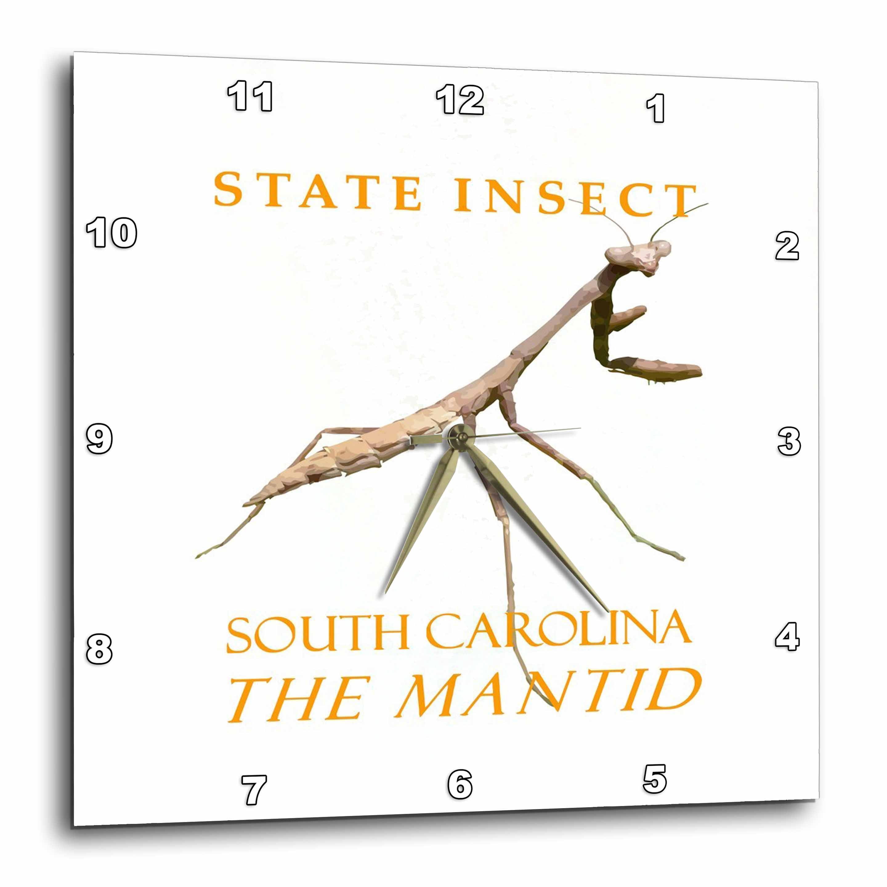Stick Insect Clock 3drose, South Carolina Territory Insect the Mantid, 13x13 Wall Clock ...