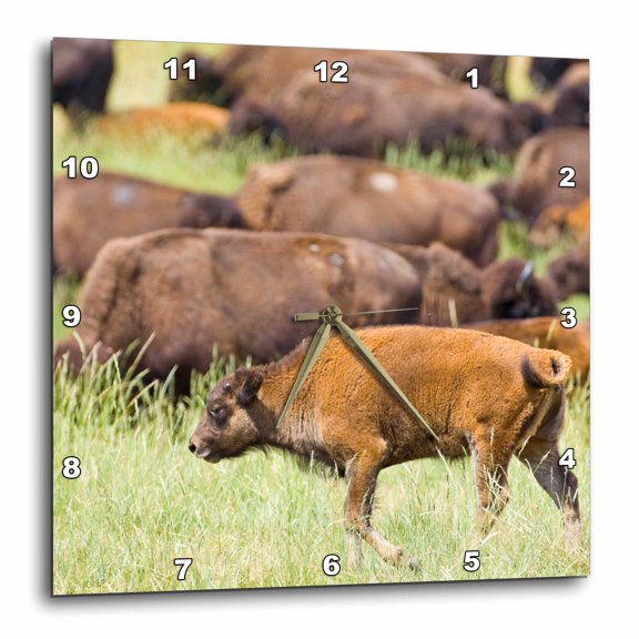 3drose, South Dakota, Custer Sp, Buffalo Wildlife Herd - Us42 Bja0022 - Jaynes Gallery, 15x15 Wall Clock
