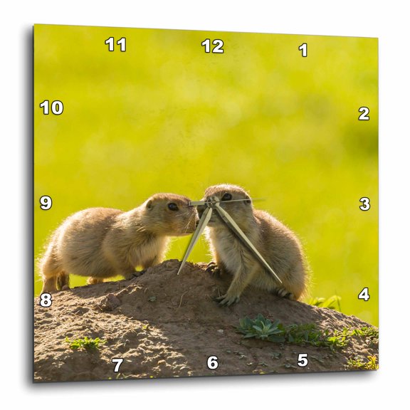 3drose, South Dakota, Custer State Park. Young Prairie Dogs at Den., 15x15 Wall Clock