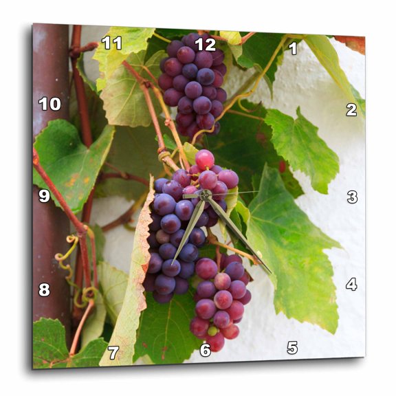 3drose, Southern Italy, Puglia. Ripe Grapes on Vines., 13x13 Wall Clock