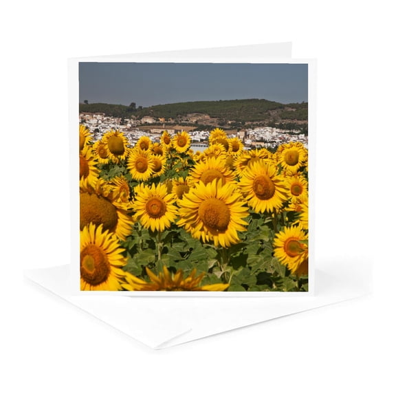 3drose, Spain, Andalusia, Bornos. Sunflower Fields., 1 Greeting Card with Envelope