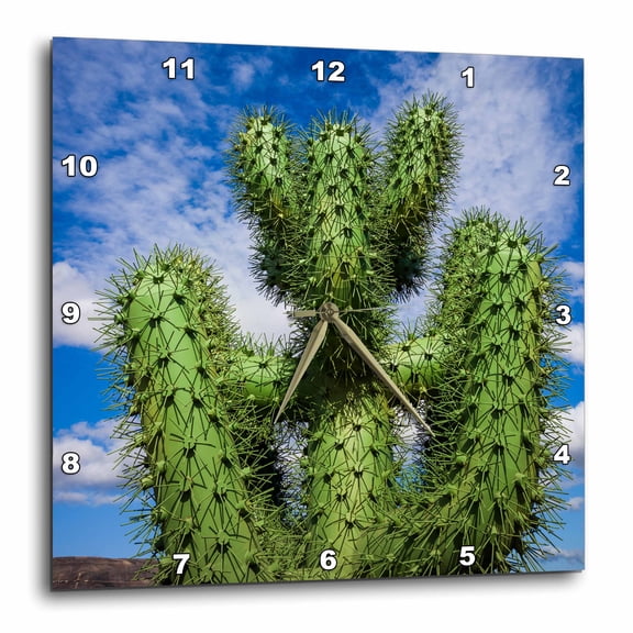 3drose, Spain, Canary Islands, Cactus, 13x13 Wall Clock