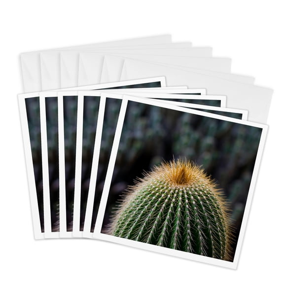 3drose, Spain, Canary Islands, La Gomera, Close-up of Cactus., 6 Greeting Cards with Envelopes