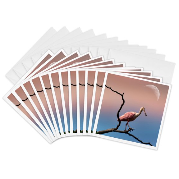 3drose, Spoonbill on the Tree with Moon, 12 Greeting Cards with Envelopes