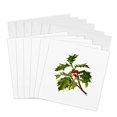 thumbnail image 1 of 3drose, Sprig of Holly Christmas Red Berry, 6 Greeting Cards with Envelopes, 1 of 7