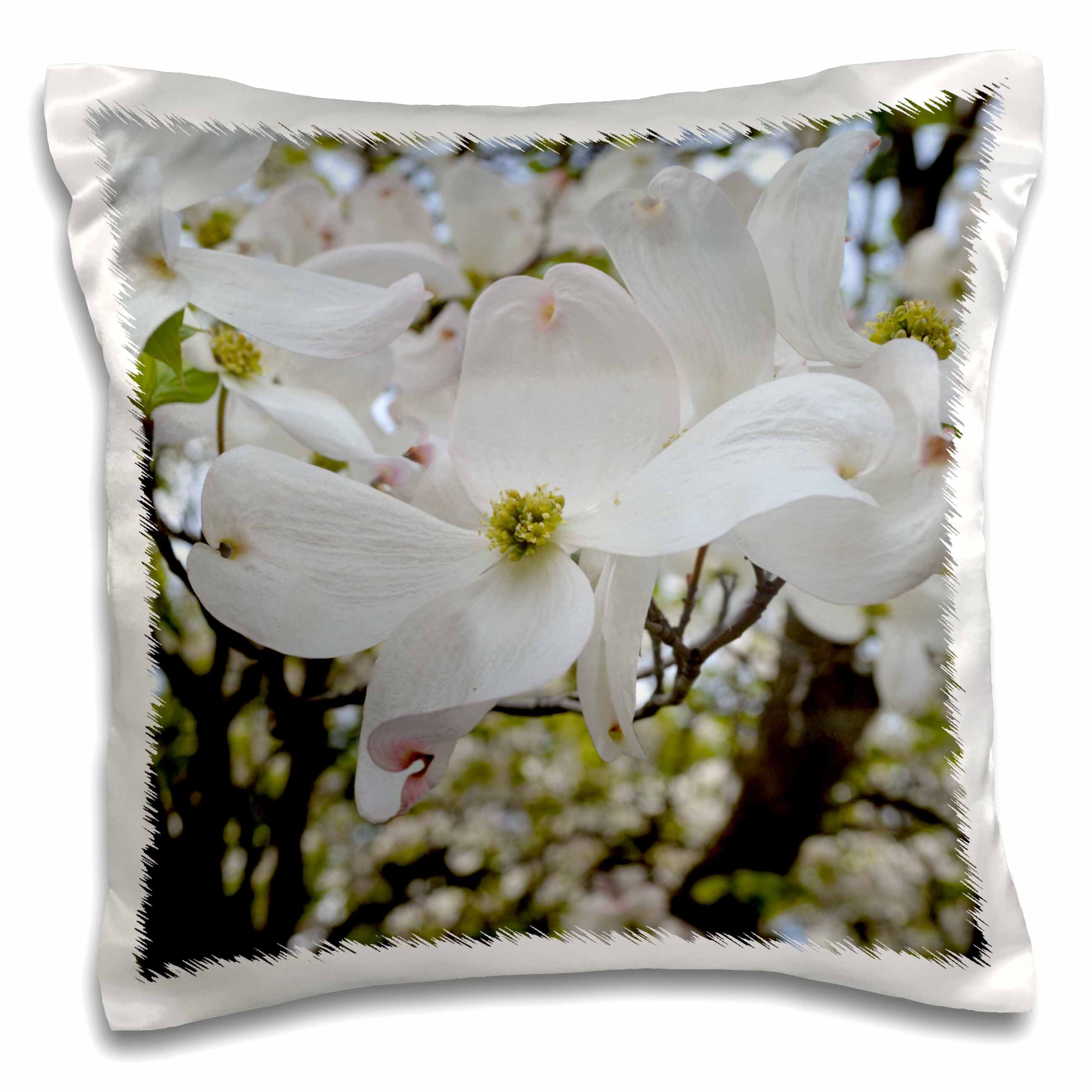 3drose, Spring Blossoms Dogwood Flowers- Trees- Photography, 16x16 inch ...