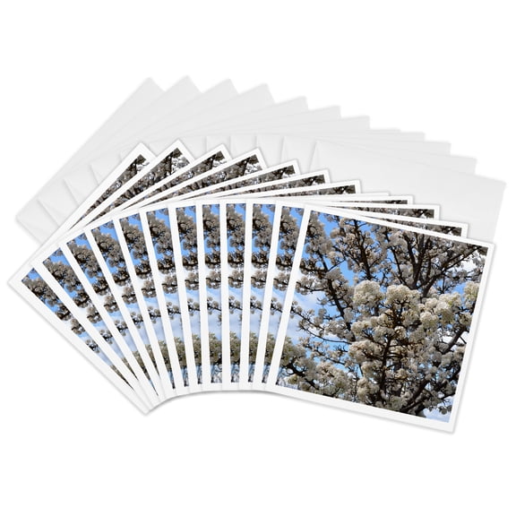 3drose, Spring Sky and Flowering Tree Flowers, 12 Greeting Cards with Envelopes