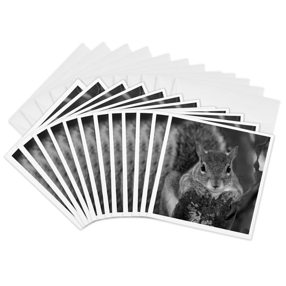3drose, Squirrel Animal on Log Hanging Out Black and White, 12 Greeting Cards with Envelopes