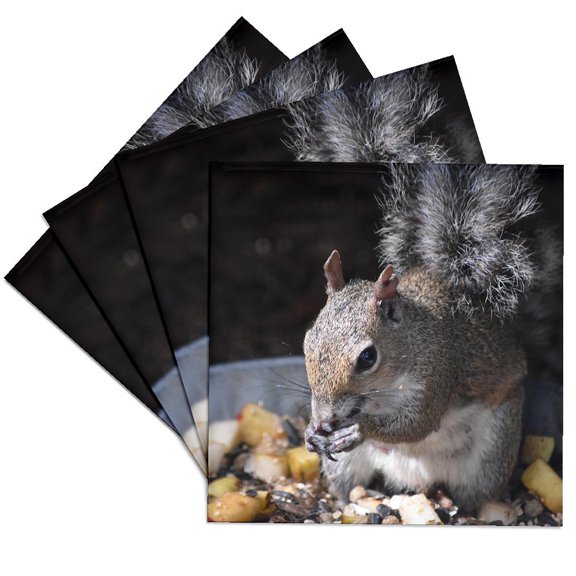 3drose, Squirrel Eating Seeds Out of Pan, Set of 4 Ceramic Tile Coasters