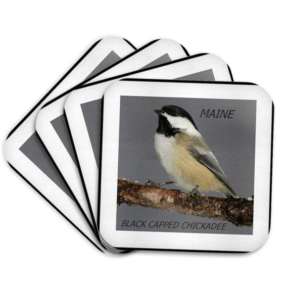 3drose, State Bird of Maine Black Capped Chickadee, Set of 4 Coasters - Cork