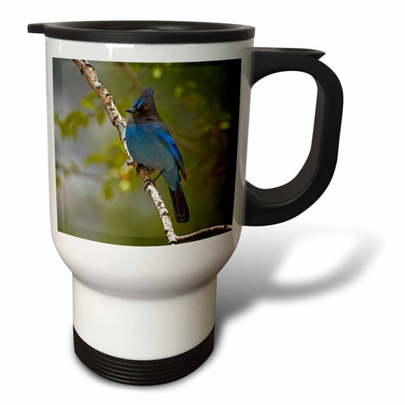 3drose, Stellers Jay, Sierra, California, Usa, 14oz Stainless Steel Travel Mug