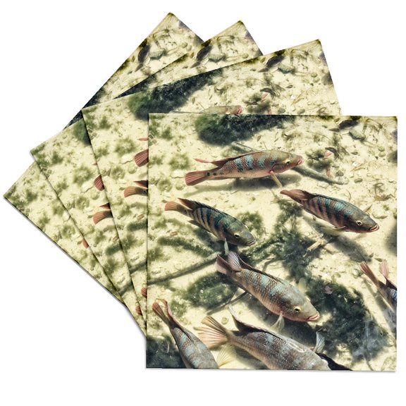 3drose, Striped Cichlids in Water in Florida, Set of 4 Ceramic Tile Coasters