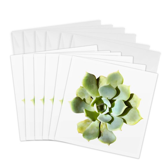 3drose, Succulent Garden Plant with Dew Isolated on White, 6 Greeting Cards with Envelopes
