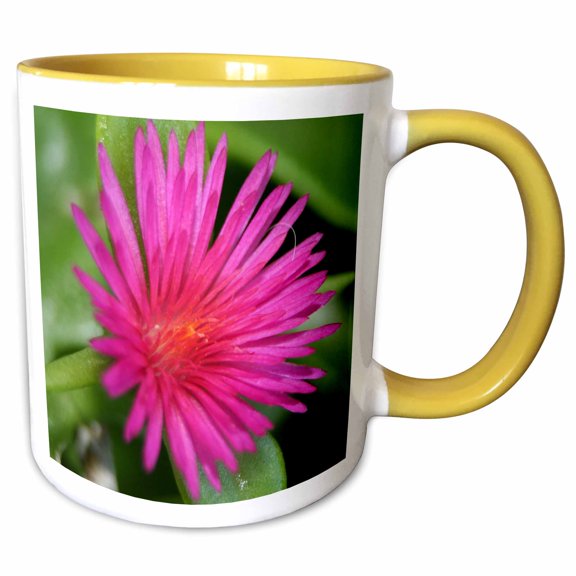 3drose, Succulent Mesembryanthemum Carpet Weed and Pink Flower, 11oz Two-tone Yellow Mug
