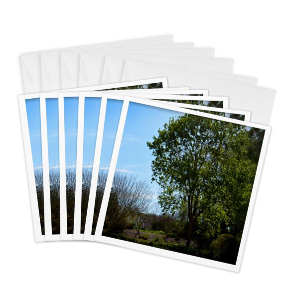 3drose, Summer Green Beaming Is a Beautiful Scene from the Botanical Gardens, 6 Greeting Cards with Envelopes