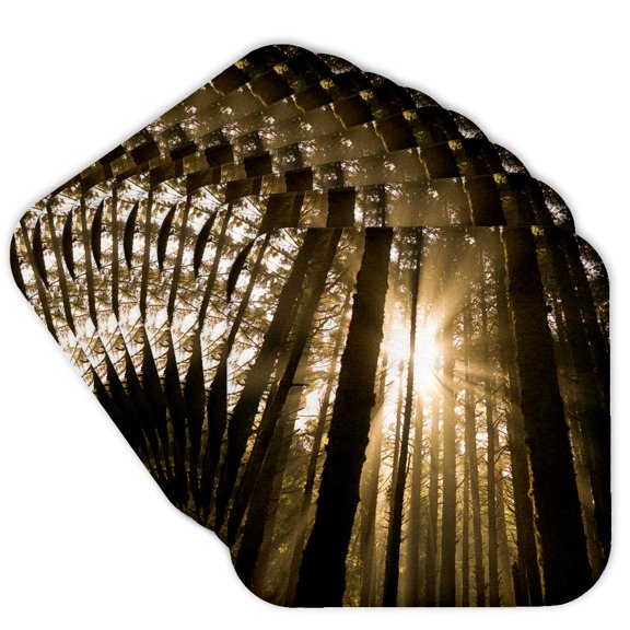 3drose, Sunbeam in Wooded Rainforest, Olympic Np, Wa, Usa, Set of 8 Coasters - Cork