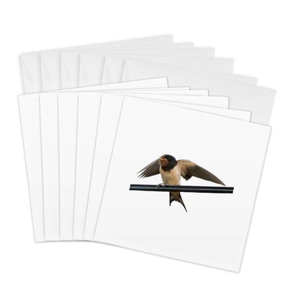 3drose, Swallow on a Wire Wings Outstretched Cut Out, 6 Greeting Cards with Envelopes