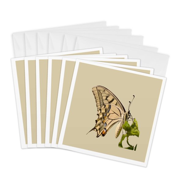 3drose, Swallowtail Butterfly Vector Isolated, 6 Greeting Cards with Envelopes